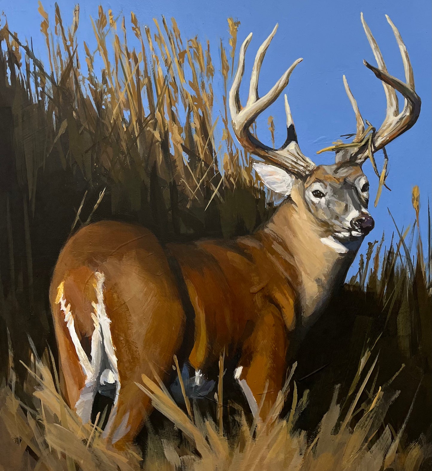 “Marsh Buck” Whitetail Deer Painting 16”x16”