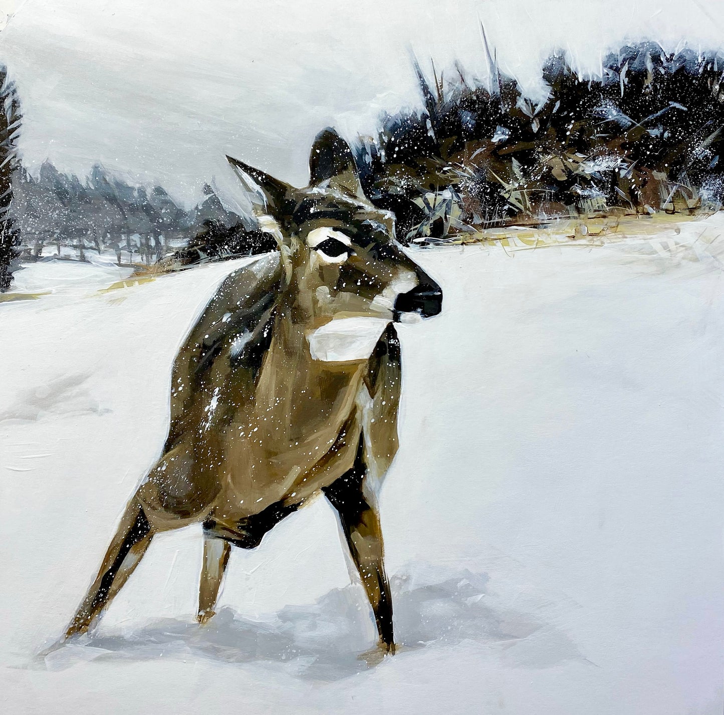 “Late Season” Whitetail doe painting 16”x16”