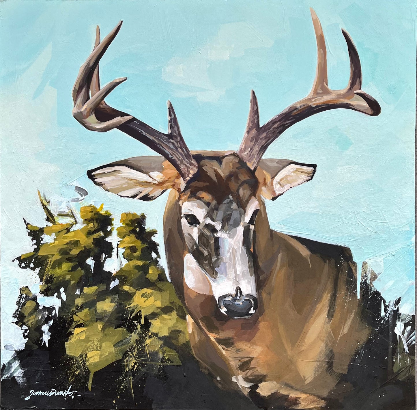 “Reverence” Whitetail Portrait 20”x20”