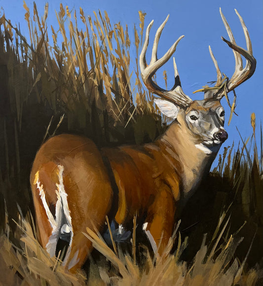 “Marsh Buck” Whitetail Deer Painting 16”x16”